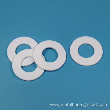 PTFE teflon sealing gasket SERIES B